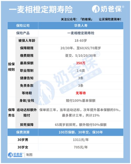 華貴一麥相橙定期壽險（互聯網專屬）深度評測 保障、性價比與網絡信息安全視角下的思考